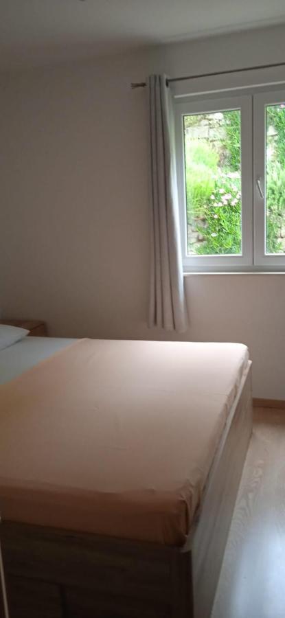 Apartments Suco Celina Ngoại thất bức ảnh
